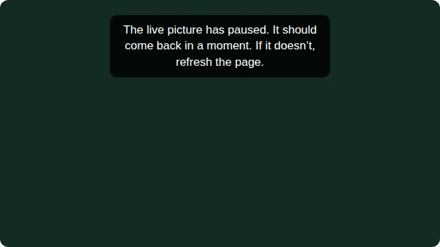 The message "The live picture has paused. It should come back in a moment. If it doesn't, refresh the page." over the video.